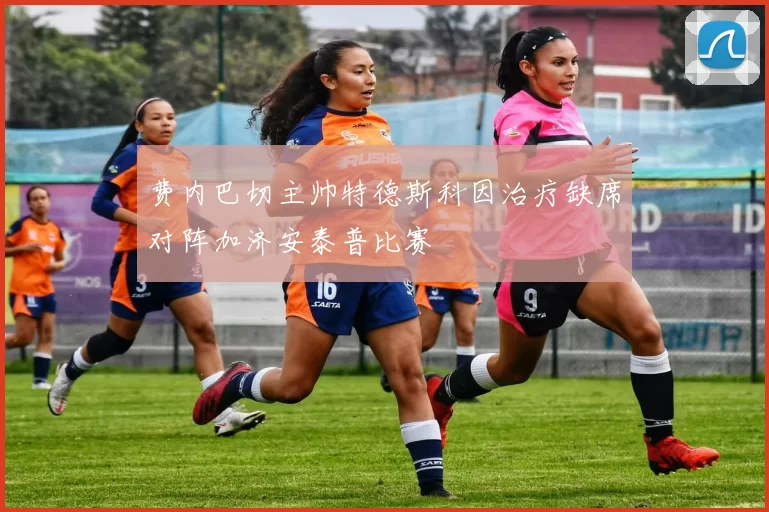 费内巴切主帅特德斯科因治疗缺席对阵加济安泰普比赛